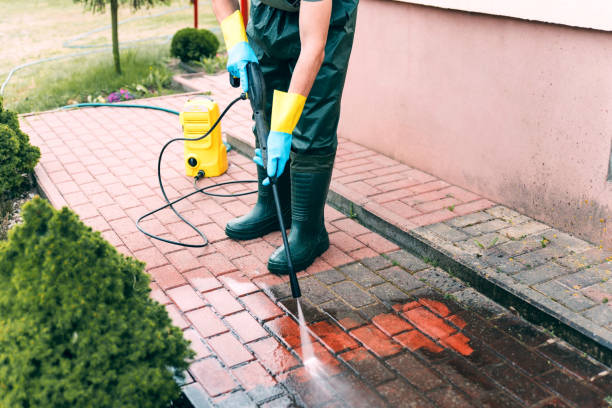 Best Driveway Pressure Washing  in Wayland, IA